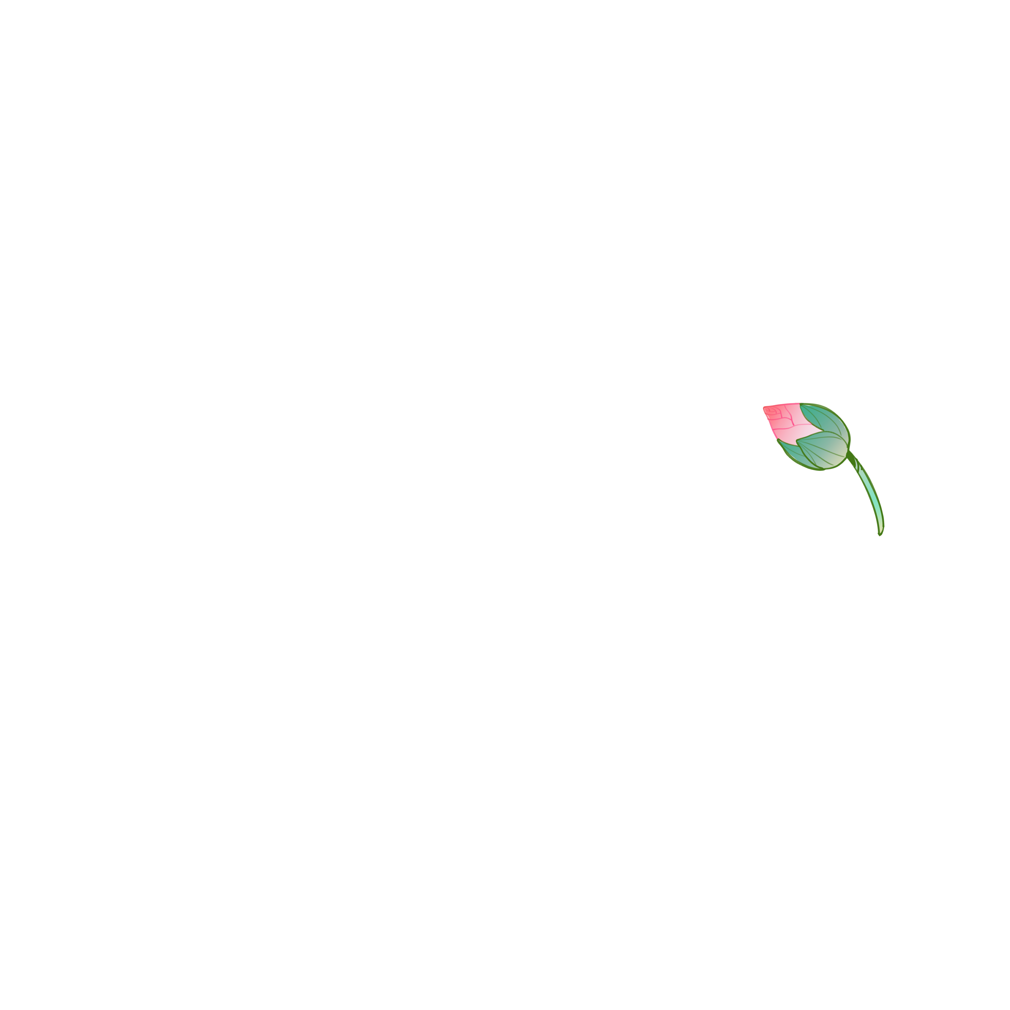 Lotus Bud